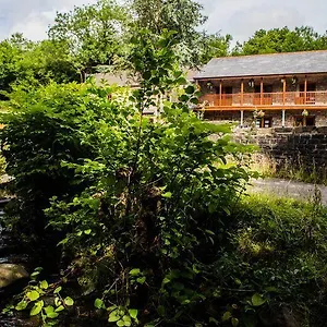 https://the-falcon-retreat-inn.cardiffhotelswales.com